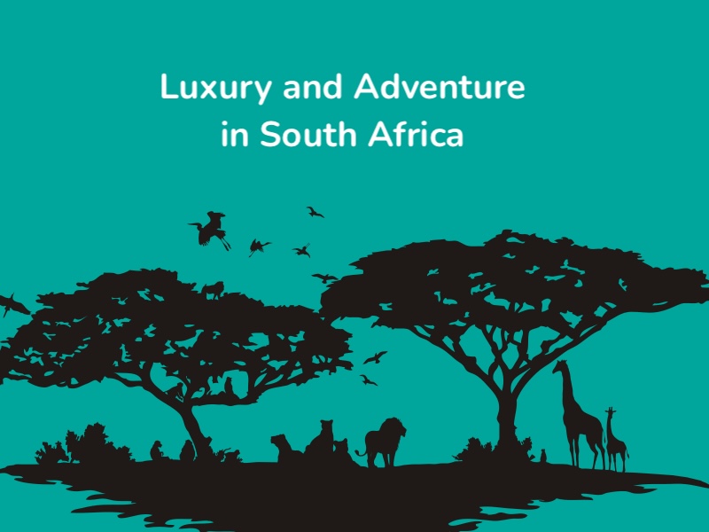 Private Tours & Luxury Holiday In South Africa