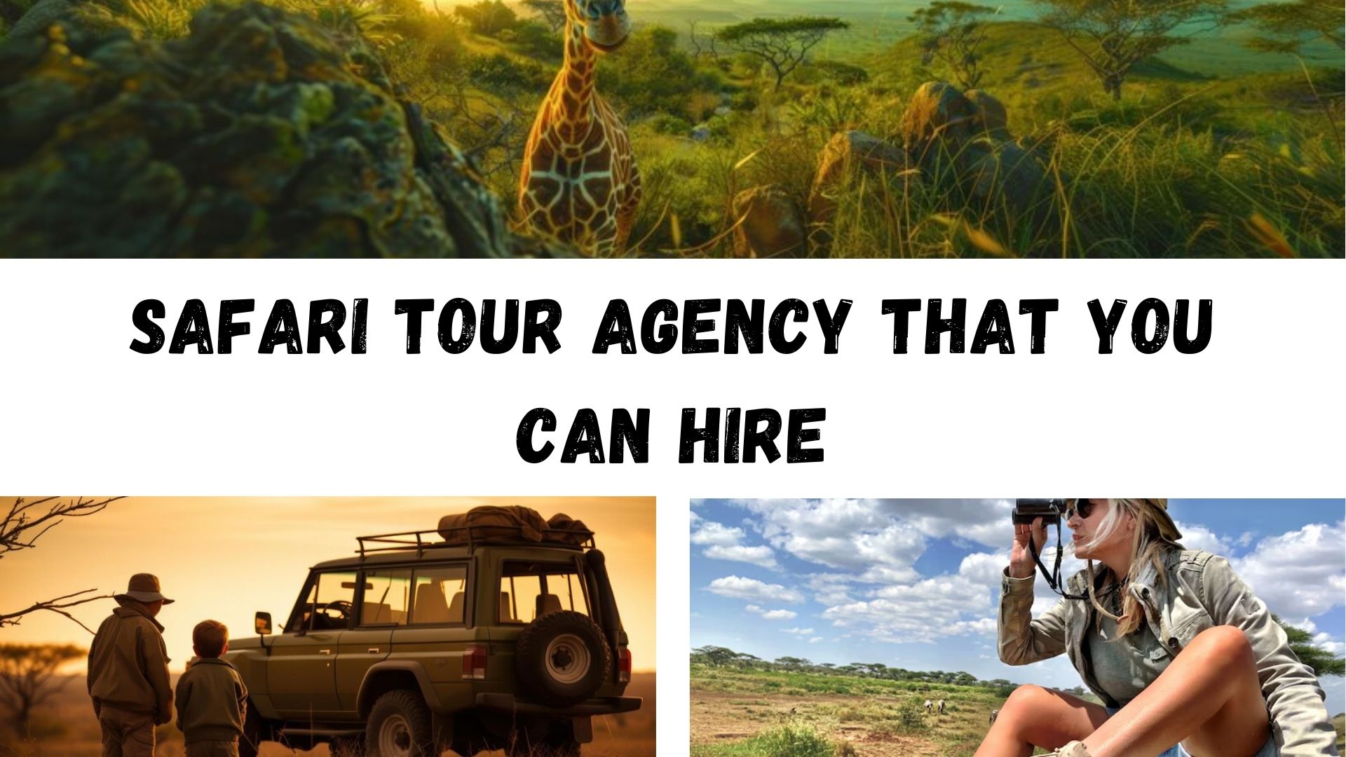 Safari Tour Agency